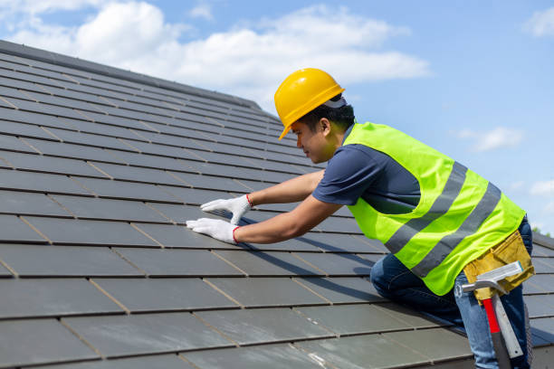 Best Shingle Roofing Installation  in Aurora, NE